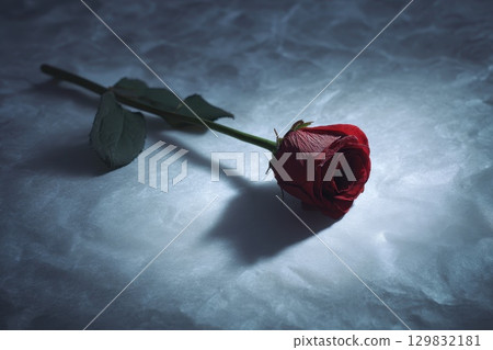 Single Dried Rose on Soft Parchment Paper with Gentle Light for Decorative Purposes 129832181