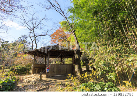 Autumn leaves and Sankeien Garden Autumn leaves and Sankeien Garden 129832795