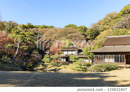 秋葉和三溪園 秋葉和三溪園 129832807