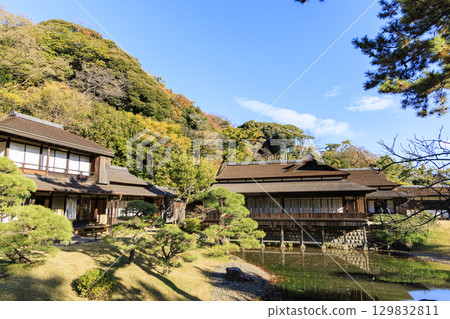 Autumn leaves and Sankeien Garden 129832811