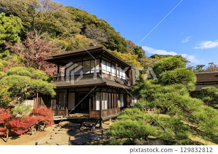 Autumn leaves and Sankeien Garden 129832812