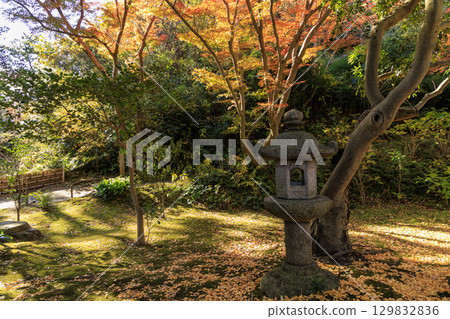 秋葉和三溪園 129832836