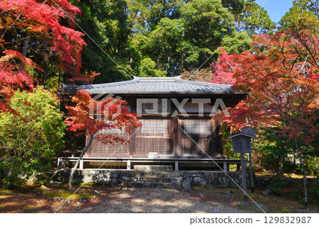 Myo-o Hall and vibrant autumn leaves at Jingo-ji Temple, Mount Takao, Mio, Kyoto (Ukyo Ward, Kyoto City, Kyoto Prefecture) Myo-o Hall and vibrant autumn leaves at Jingo-ji Temple, Mount Takao, Mio, Kyoto (Ukyo Ward, Kyoto City, Kyoto Prefecture) 129832987