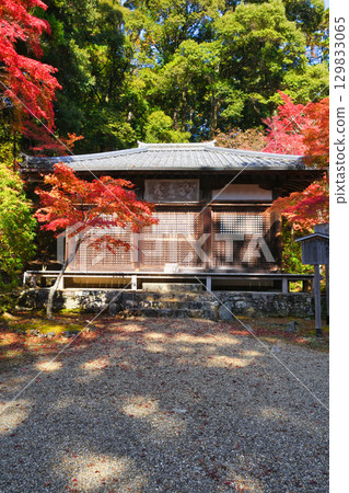 Myo-o Hall and vibrant autumn leaves at Jingo-ji Temple, Mount Takao, Mio, Kyoto (Ukyo Ward, Kyoto City, Kyoto Prefecture) Myo-o Hall and vibrant autumn leaves at Jingo-ji Temple, Mount Takao, Mio, Kyoto (Ukyo Ward, Kyoto City, Kyoto Prefecture) 129833065