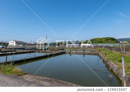 大和郡山 - 金魚養殖場景 129833087
