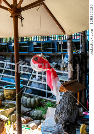 Yamatokoriyama - Goldfish farming scene Yamatokoriyama - Goldfish farming scene 129833126