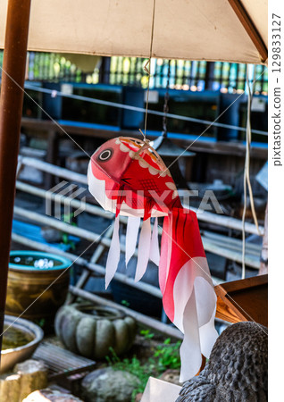 Yamatokoriyama - Goldfish farming scene 129833127