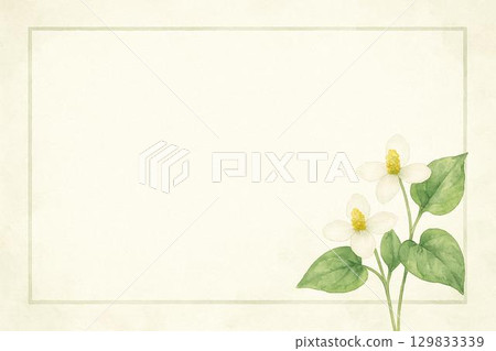 鏡框材質: 魚腥草花 129833339
