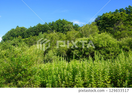 Looking here and there from the Tokachi River riverbed (near the Chiyoda Dam) 129833517