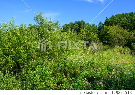 Looking here and there from the Tokachi River riverbed (near the Chiyoda Dam) 129833518