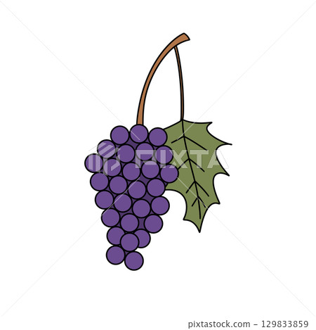 A purple grape with a green leaf on top 129833859