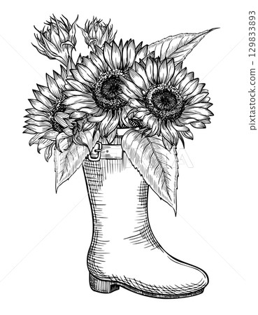 Sunflowers in rubber boot watercolor illustration. Drawing of autumn composition with fall yellow flowers in footwear on isolated background. Floral bouquet for Harvest festival invitation cards. Sunflowers in rubber boot watercolor illustration. Drawing of autumn composition with fall yellow flowers in footwear on isolated background. Floral bouquet for Harvest festival invitation cards. 129833893