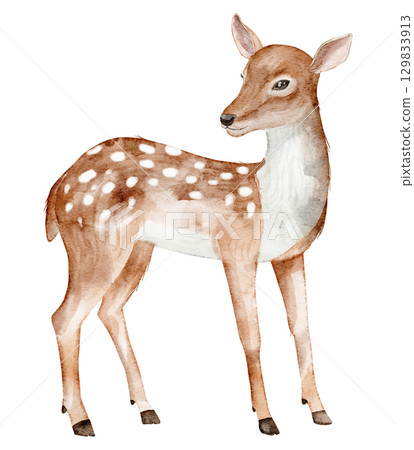 Fawn with spotted coat painted in watercolor. Illustration of woodland Deer for Baby shower greeting cards or childish invitations. Art of forest animal for nursery posters. Sketch of mammal cub. Fawn with spotted coat painted in watercolor. Illustration of woodland Deer for Baby shower greeting cards or childish invitations. Art of forest animal for nursery posters. Sketch of mammal cub. 129833913