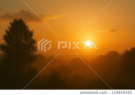 日落森林和橙色天空 日落森林和橙色天空 129834383
