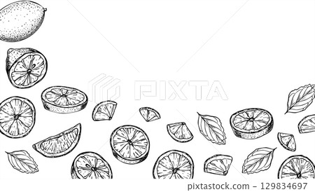 Lemon slices and mint leaves vector isolated rectangle frame with empty space for text. Monochrome citrus fruit, aromatic herbs etching drawing. Mojito ingredients for healthy cold and hot drink Lemon slices and mint leaves vector isolated rectangle frame with empty space for text. Monochrome citrus fruit, aromatic herbs etching drawing. Mojito ingredients for healthy cold and hot drink 129834697
