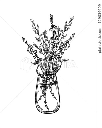 Monochrome vector bouquet of blooming heather branches, spikelet in glass. Scotland wildflowers etching drawing for wedding invitation, rustic label, herbal product packaging, and vintage style decor. 129834699