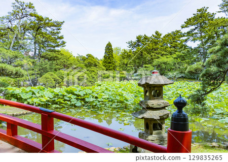 新潟縣、白山神社、白山公園 129835265