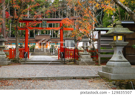 Autumn leaves Torii and main hall of Oharano Shrine in Nishikyo Ward, Kyoto City 129835507