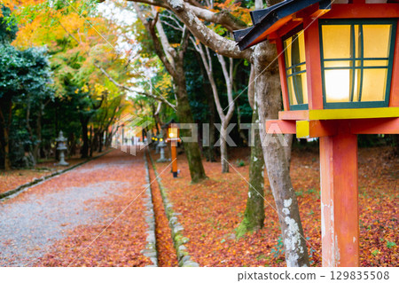 Autumn leaves of Oharano Shrine in Nishikyo Ward, Kyoto City Momiji on the approach Autumn leaves of Oharano Shrine in Nishikyo Ward, Kyoto City Momiji on the approach 129835508