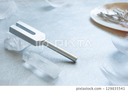 Crystal Tuner Crystal White Sage Shell Plate Healing Crystal Tuner Crystal White Sage Shell Plate Healing 129835541