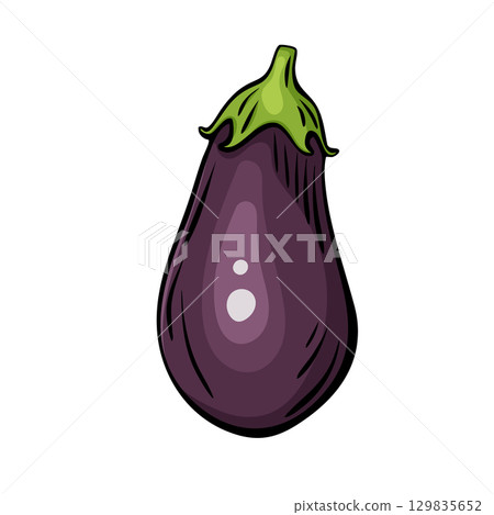 Hand drawn Mediterranean eggplant sketch isolated on white 129835652