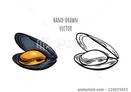 Mediterranean seafood mussel sketch in color and line art 129835653