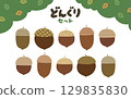 Illustration set of acorns in the forest with patterns on their hats 129835830