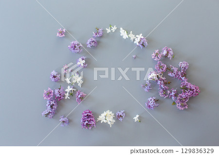 Lilac composition top view on gray background with empty space 129836329