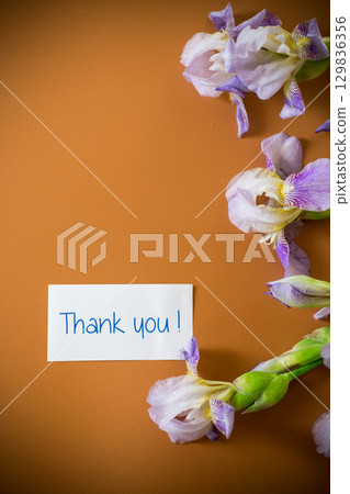 Iris flowers with lilac petals on a brown background 129836356