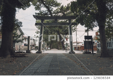 The pine trees of Miho no Matsubara, a World Heritage Site, "The Path of the Gods" 129836584