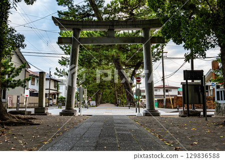 世界遺產「眾神之路」三保松樹的松樹 世界遺產「眾神之路」三保松樹的松樹 129836588
