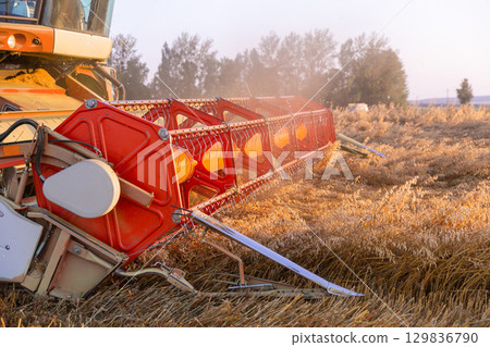 Combine header in evening light, close-up 129836790