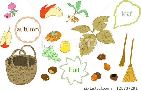 Set illustration of autumn fruits and acorns 129837291