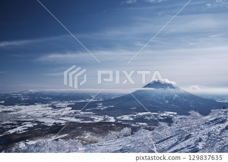 隆冬時節，從新雪谷安努普利山頂附近眺望羊蹄山 129837635
