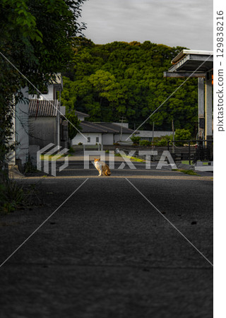 Landscape with a cat 129838216