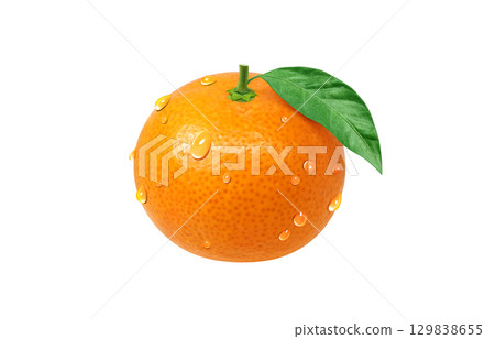 橘子插畫逼真的橘子 橘子插畫逼真的橘子 129838655