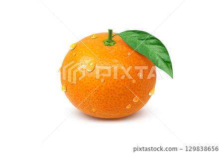 橘子插畫逼真的橘子 129838656