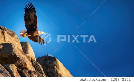 Eagle soaring above rugged cliffs against bright blue sky, symbolizing power and freedom 129840131