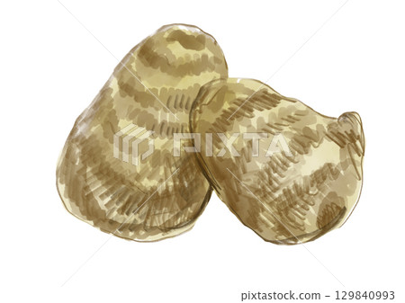 Hand-drawn watercolor illustration of freshly picked and delicious taro 129840993