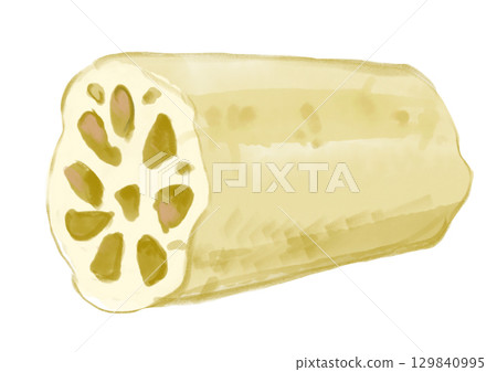 手繪水彩插畫：新鮮採摘的美味蓮藕 129840995