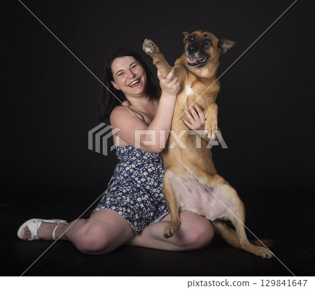 malinois in studio 129841647