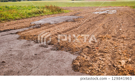 Cow manure in the field. Natural fertilizer. Cow manure in the field. Natural fertilizer. 129841963