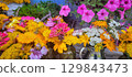 A Vibrant Floral Arrangement Filled with Many Colorful Flowers for All to Enjoy and Admire 129843473