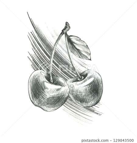 Dynamic sketch of two cherries with leaf in monochrome style, hand drawn line art illustration in grey graphite pencil, ideal for food branding, fruit decor, kitchen textiles and packaging. 129843500