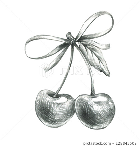 Two cherries with large ribbon bow in monochrome realistic style, hand drawn line art illustration using grey graphite pencil, ideal for packaging, branding, decorative prints and food labels. Two cherries with large ribbon bow in monochrome realistic style, hand drawn line art illustration using grey graphite pencil, ideal for packaging, branding, decorative prints and food labels. 129843502