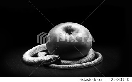 The snake lies near the apple 129843958