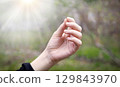 Hand holding a small mustard seed 129843970