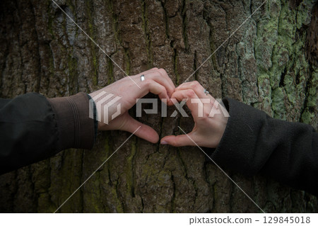 Male and female hand making hearts shape on tree 129845018