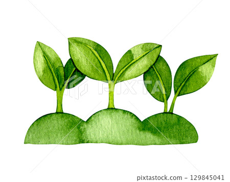 Plant sprouts, cute watercolor drawing. illustration for kids, cartoon Plant sprouts, cute watercolor drawing. illustration for kids, cartoon 129845041