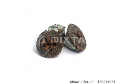 Organic eucalyptus fruits gumnuts on white background 129845075